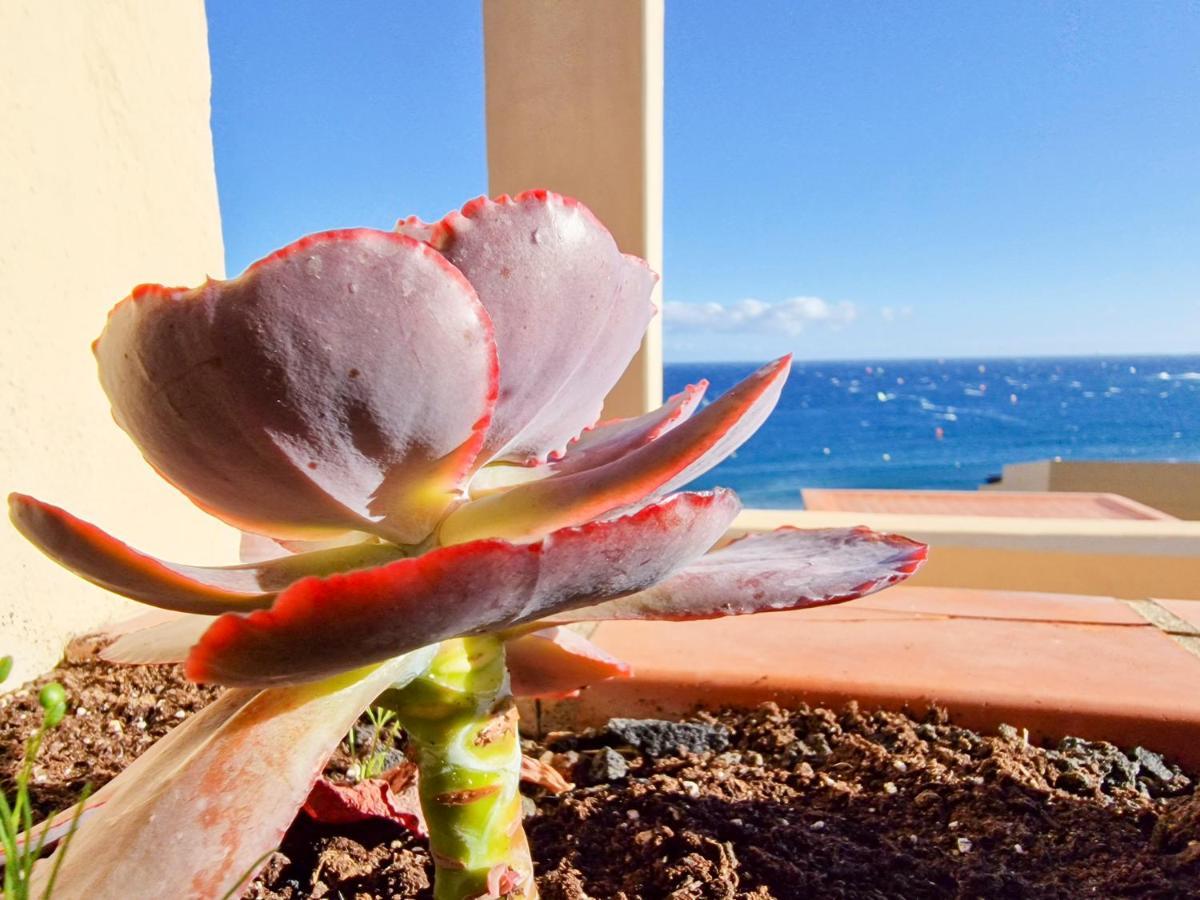 Medano4You The Ocean Terrace Penthouse Эль-Медано Экстерьер фото